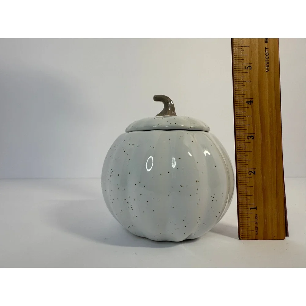 10SS Artisan Collection Speckled White Pumpkin Stoneware Lidded Jar Fall Decor